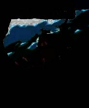 《植物大战僵尸：年度版》简体中文硬盘版