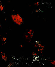 《命运石之门：线形拘束的表征图》免安装中文版