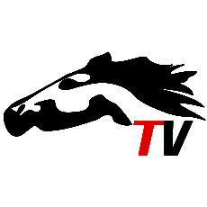 美丽阿巴嘎 V1.0