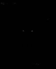 《地下城守护者1：幽暗地城》繁体中文免安装版