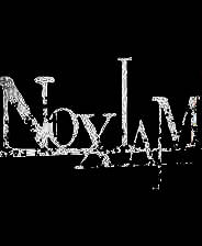 《诺西亚姆：可悲的罪人》繁体中文免安装版