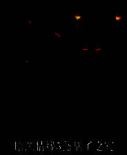 《暗黑情缘5：蓝胡子之咒》英文免安装版