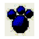 打字高手免费版