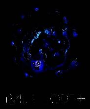 《超侦探事件簿 雾雨谜宫 Plus》官方版