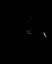 《仇杀：乌鸦的悲鸣之诅咒》3DM简体中文硬盘版