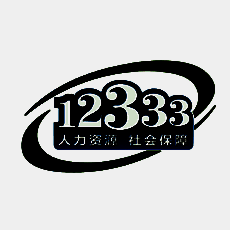 掌上12333 V2.0.2