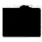 Dragon Stop Motionv2.2.1