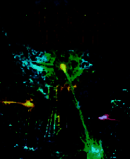 《阿达尼亚的守护者》3DM蒹葭汉化硬盘版v1.0