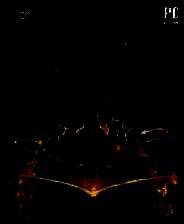 《阿扎达2：远古魔法》英文免安装版