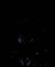 《绝对秘密》  英文硬盘版