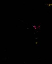 《埃及祖玛4：探索永恒》免安装中文版