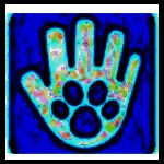 宠物时间管理系统v1.0.0