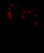 《鸑鷟：橘子传》简体中文免安装版