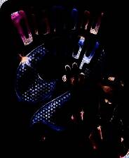 《森林宝石2》英文免安装版