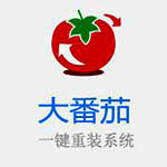 《大番茄一键重装系统》官方版