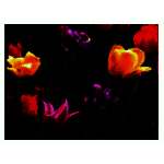 帷幕灌浆资料整理软件v2.5