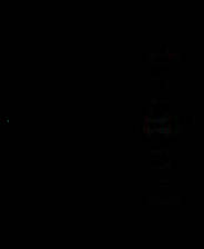 《永不放弃》英文免安装版