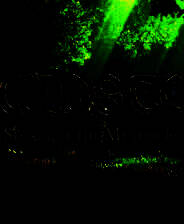 《德鲁伊之石：梅希尔森林的秘密》英文免安装版