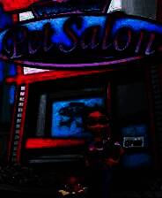 《宠物沙龙》英文免安装版