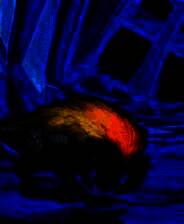 《英雄轶事》英文免安装版