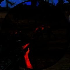 野外动物打靶 V1.8