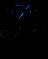 《七法师》英文免安装版