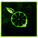 柠檬云记账v2.1.0