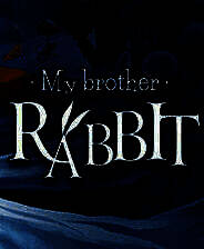 《我的哥哥兔》简体中文免安装版