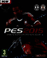 实况足球2015 所有球场草皮优化大补v1.0