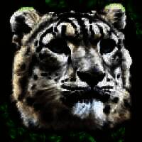 终极雪豹模拟器 安卓版 V1.2