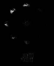 《深思熟虑》英文免安装版