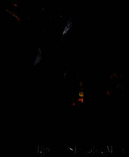 《蜘蛛：月亮笼罩的仪式》英文硬盘版