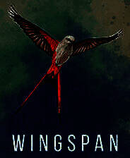 《展翅翱翔》 v1.6.1063升级档+未加密补丁[TENOKE]