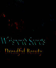 《低语的秘密10：可怕的美丽》英文免安装版