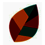 飞火动态壁纸 v2.2.1.0