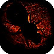 小小蚁国 V1.13.0