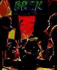 《私家侦探布罗格》中文免安装版