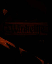 《温克利小屋》简体中文免安装版