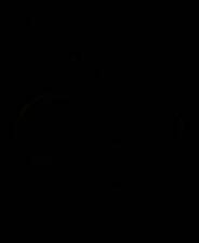 《巫术：疯狂领主的试验场》 v1.1.1升级档+未加密补丁[TENOKE]