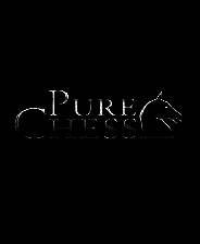 《国际象棋特级大师版》 英文镜像版