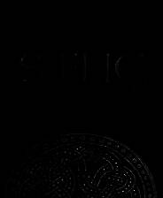 《SAELIG》3DM英文免安装未加密版