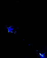 《GRAVEN》英文免安装版