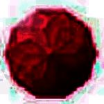 荔枝直播助手网页版