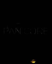 《恐慌核心》中文版