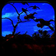 真实野鸭狩猎 手机版 V0.8.1