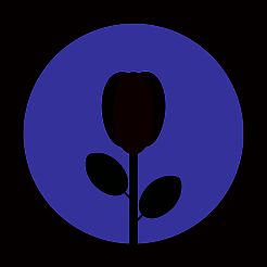 女性私人医生 V1.0