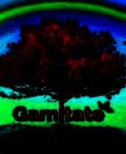 《Gamitate》英文免安装版