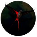 展翅翱翔 手机版 V1.1.101