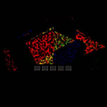 中大纺织城 V1.1