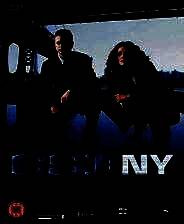 《犯罪现场调查：谋杀的三维》英文镜像版